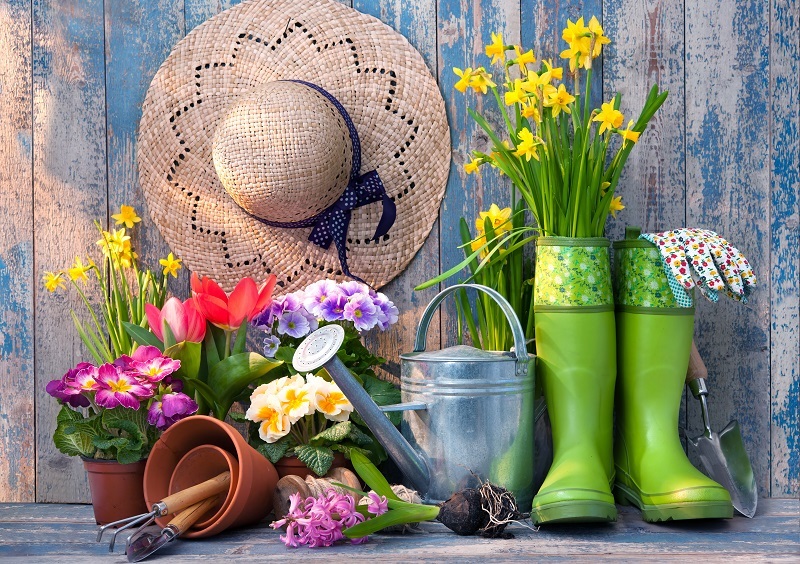 flower arrangement Bouquets