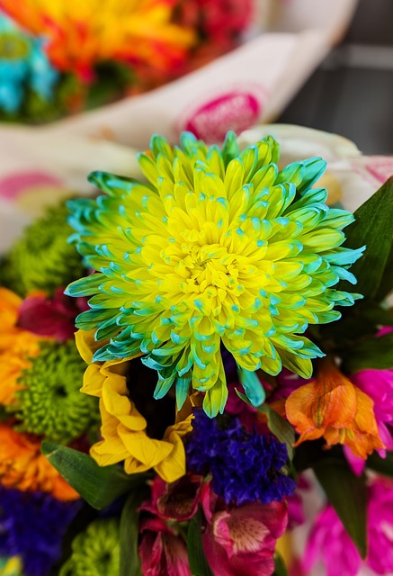 https://fordsfloristflowerdelivery.co.uk/blog/how-to-choose-a-longlasting-bouquet-for-uk-delivery/